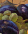 Plants: image 1 0f 4 thumb